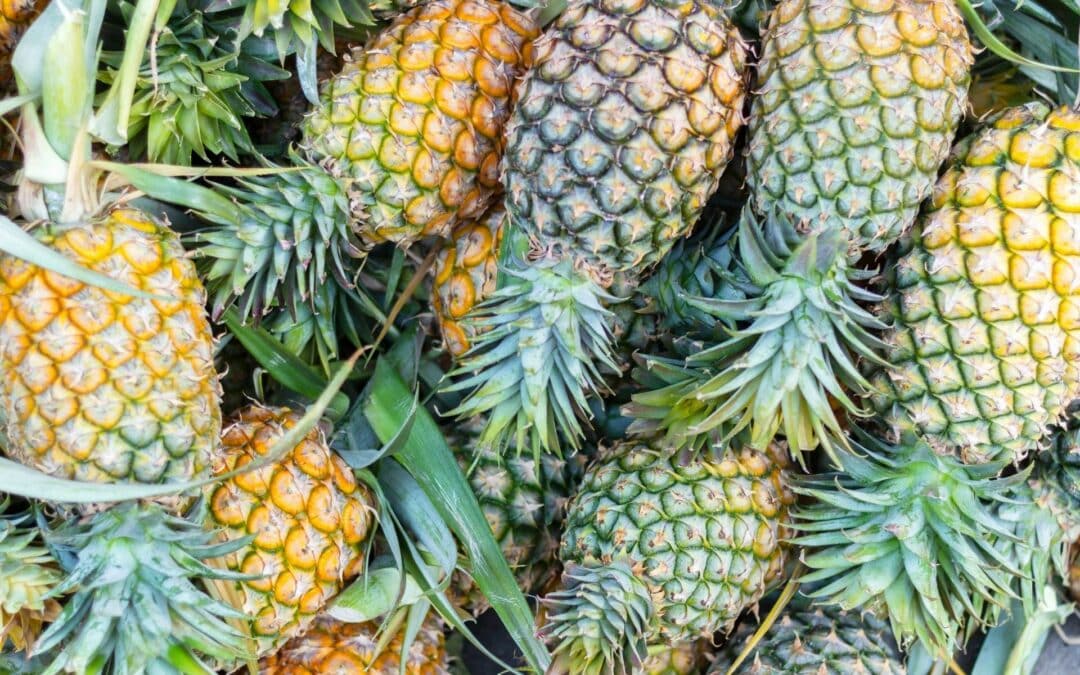 How to Pick a Ripe Pineapple