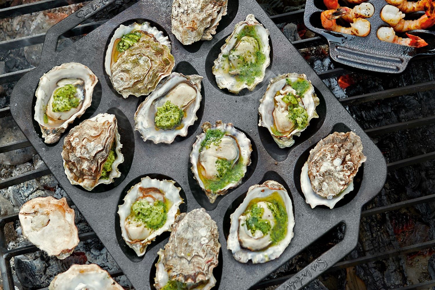 how to choose oysters