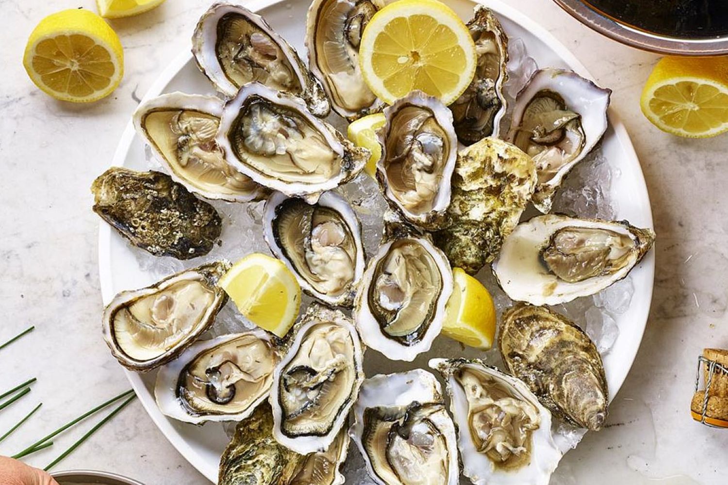 oyster recipes