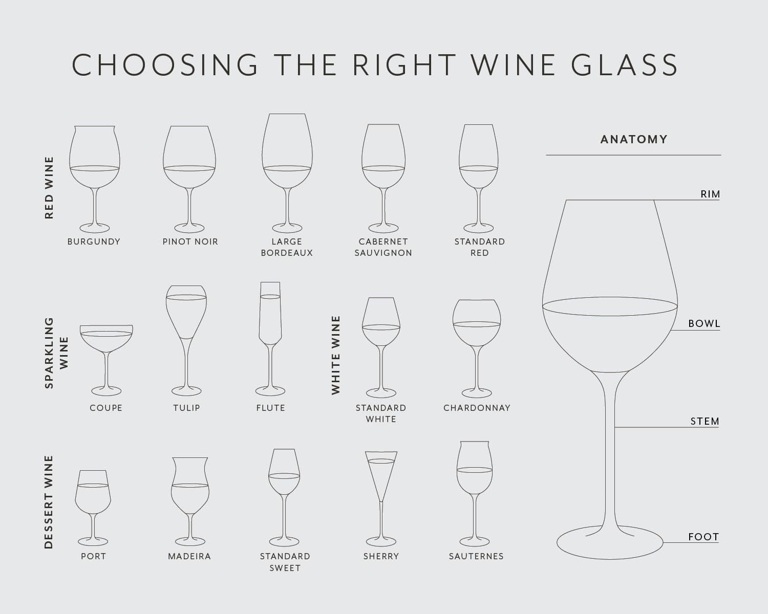 which wine glass infographic