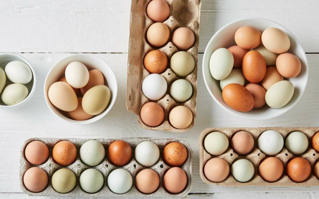 PASTURE-RAISED, FREE RANGE, CAGE FREE: A GUIDE TO BUYING EGGS