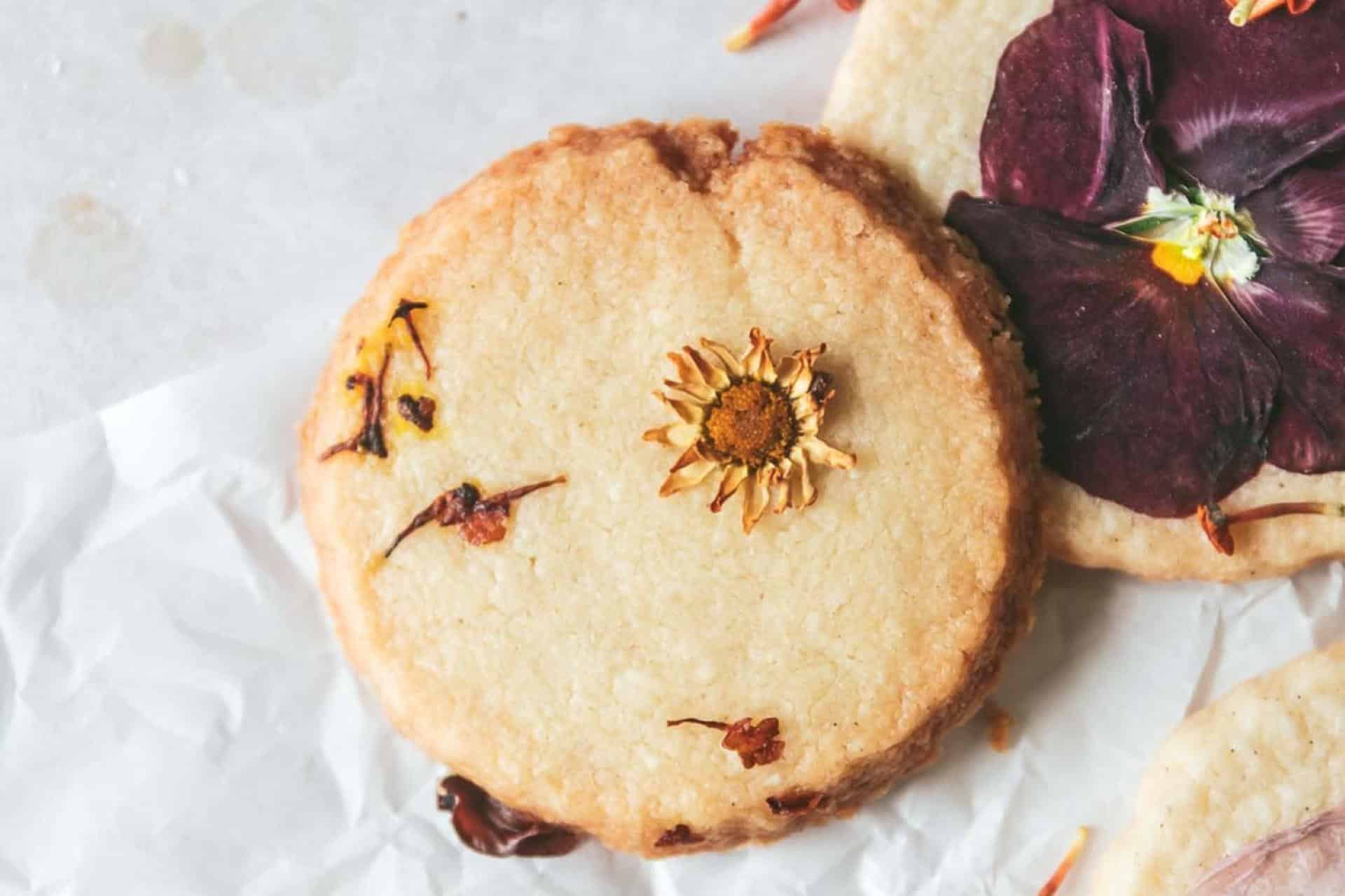 Take A Bite Out Of Spring With These 9 Edible Flower Recipes