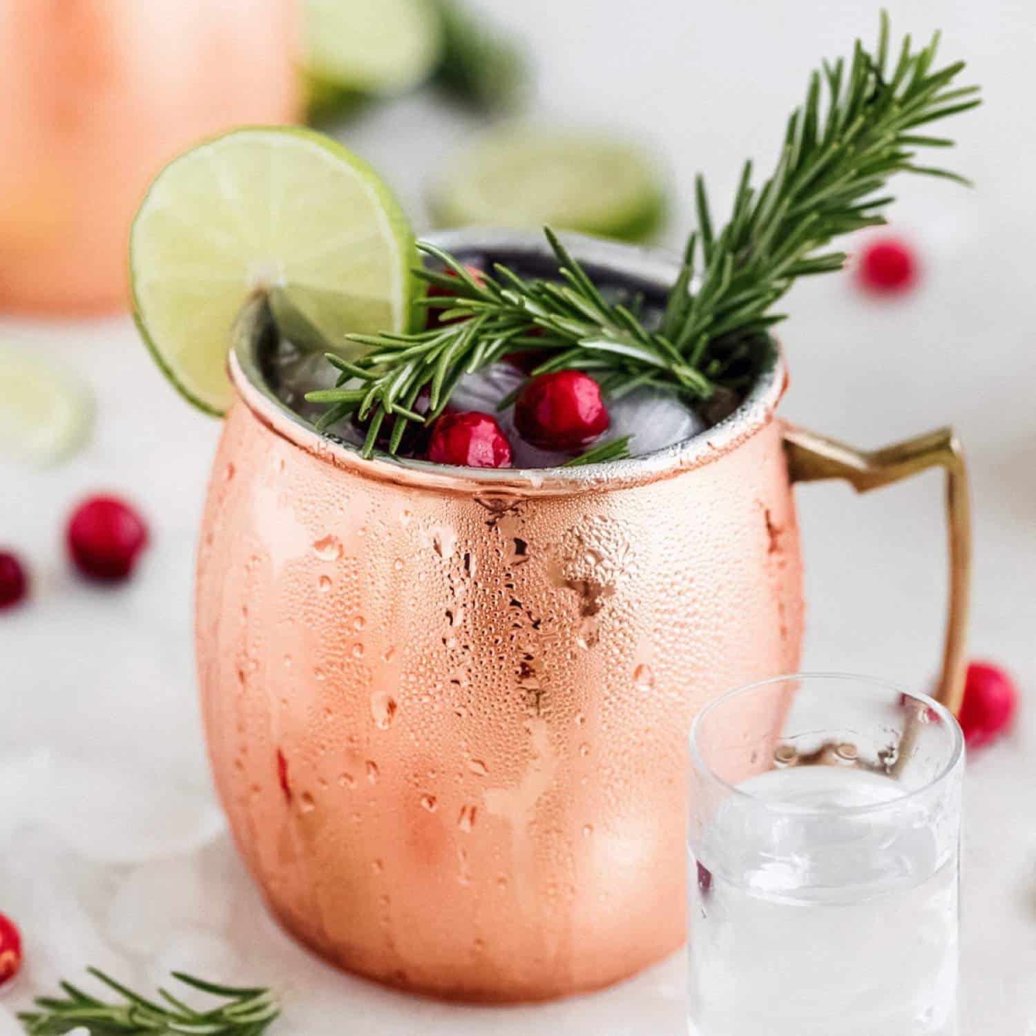 holiday cocktail recipe, best holiday cocktail recipes, holiday mocktails, holiday mocktail recipes, mocktails for the holidays, holiday cocktails, easy holiday cocktails