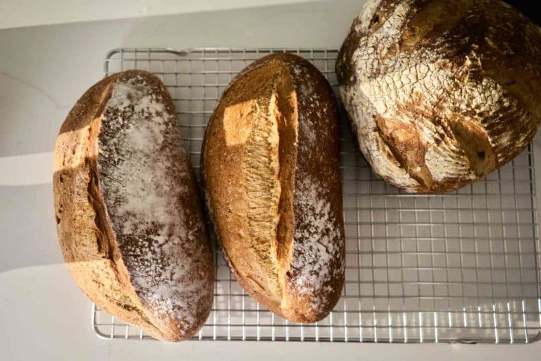 essentials for bread making, bread making tools, what do I need to make bread, how can I make bread at home, bread making starter kit, what do I need to make sourdough bread