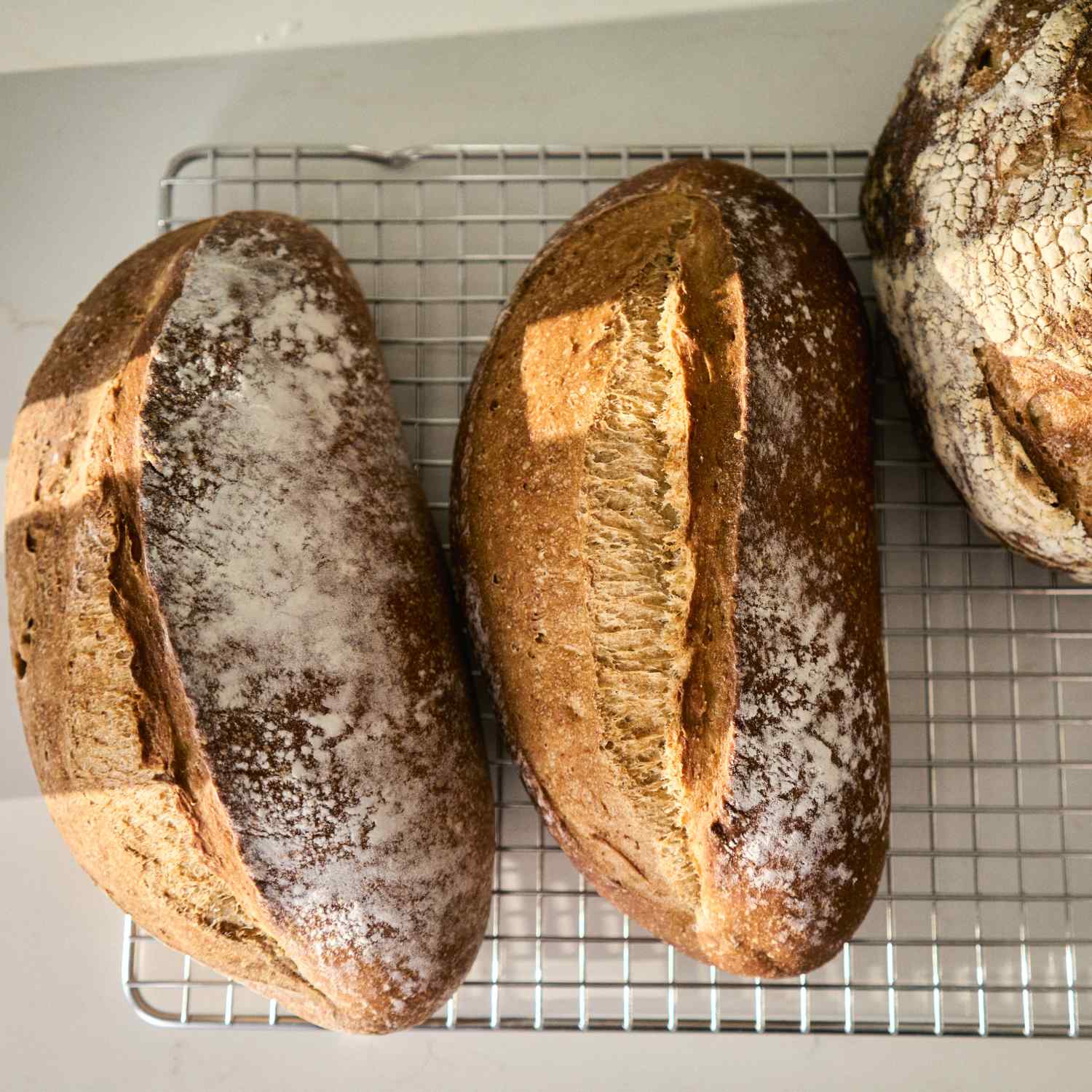 types of flour for baking, difference between bread flour and all-purpose flour, best flour for bread baking, gluten-free flour substitutes, what is rye flour used for